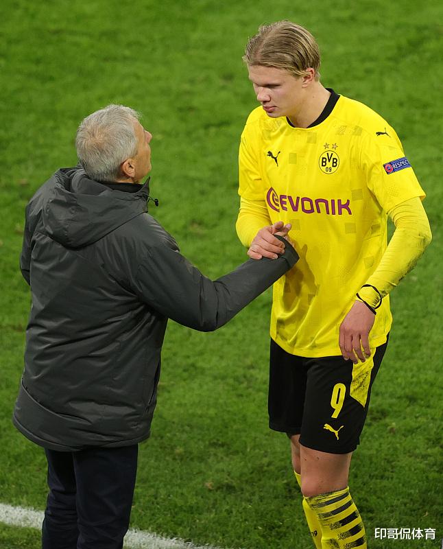 的双重修复 的双重修复